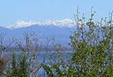 Throw open the window, enjoy the sunshine and spectacular views of ships coming and going... yachts racing under sail... and the warm Tasman Bay waters stretching to the mountains beyond. 
